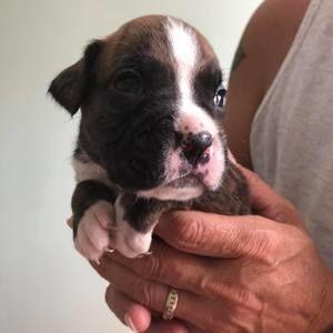 Meet your Posher, Andy n lori